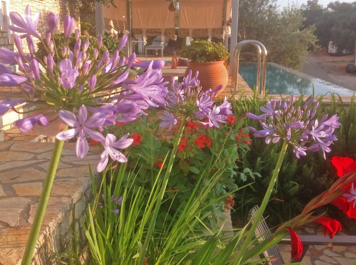 Opera House Paxos Hotel ไกออส ภายนอก รูปภาพ